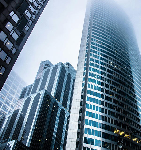 Globally Integrated Service Network